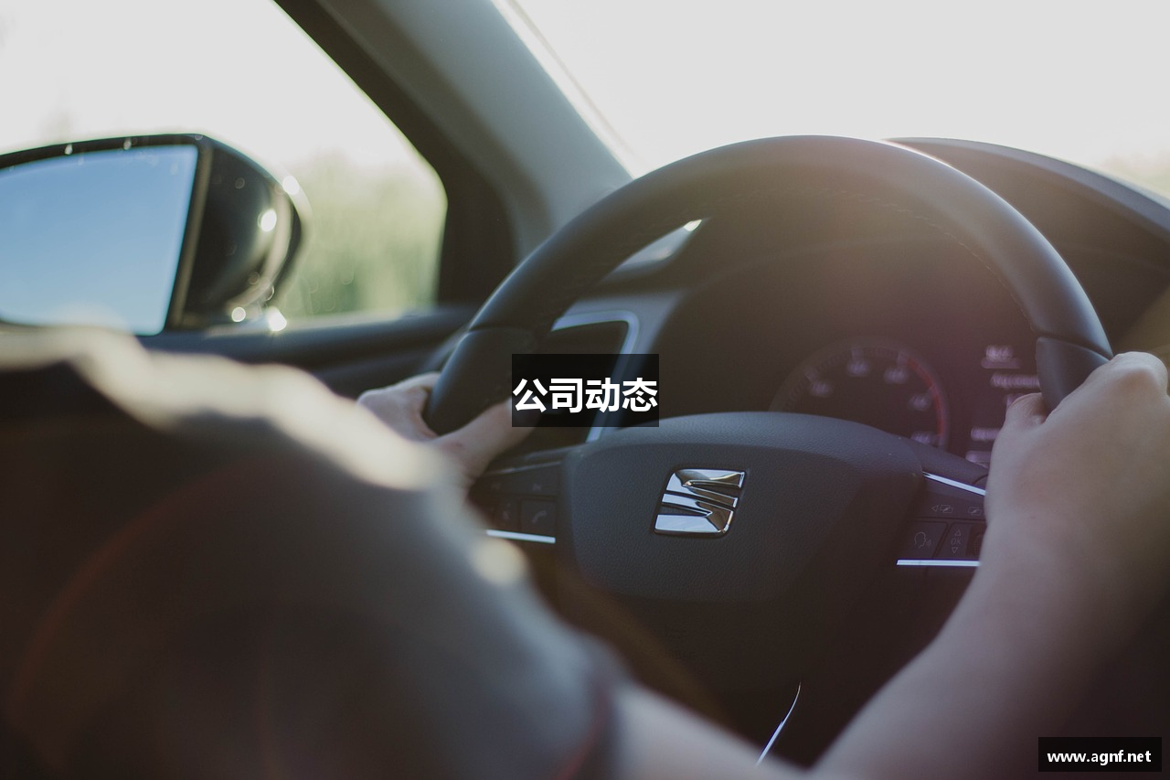 公司动态
